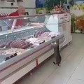 Hungry kitty decides to go to the supplier directly