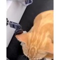 commented item thumbnail