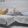 commented item thumbnail