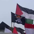 Luffy apoya a Palestina