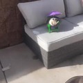 commented item thumbnail
