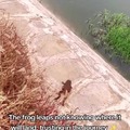 commented item thumbnail