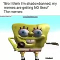 Shadowbanned memes