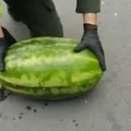 Melon de agua