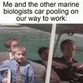 Marine biologists meme