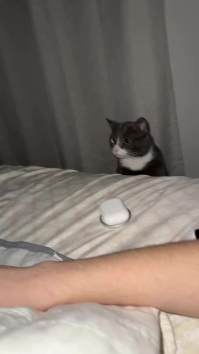 Top 5 Scariest Jumpscares Meme By Deleted 2ae8bd1ce11 Memedroid