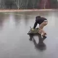 Saving a deer stuck on the ice