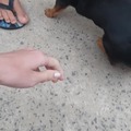 commented item thumbnail
