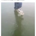 commented item thumbnail