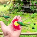 commented item thumbnail