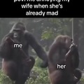 husband and wife meme