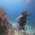 Stephen Hawking de camino a Isla Epstein
