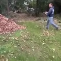 quemando hojas