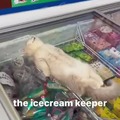 The icecream cat