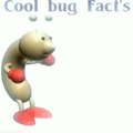 COOL BUG FACTS