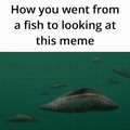 evolution from fish to meme fan