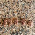 commented item thumbnail