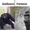 Mexicanos vs Peruanos