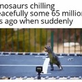 Dinosaurs chilling when
