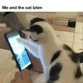 cat helping with the smartphone