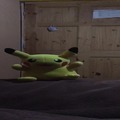 Pikachu reveal