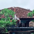 commented item thumbnail