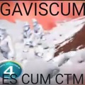 gavisCUM
