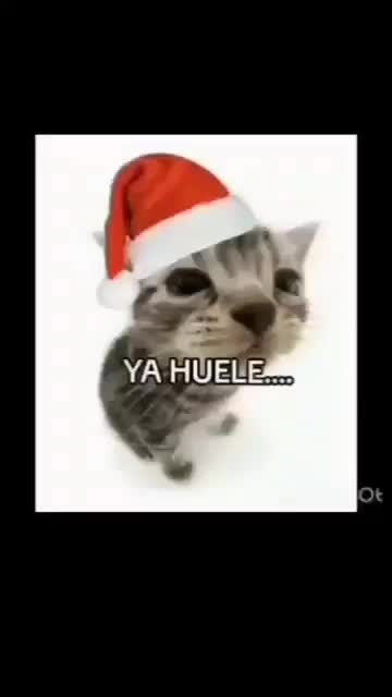 waza - Meme subido por elchaquetas :) Memedroid