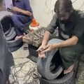 The guy who sells cheap tires