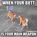 Dog: I know Butt-Fu