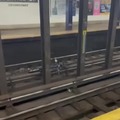 Bike vs train