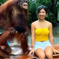 Un orangután tiene mas contacto femenino que un memedroider lol