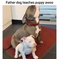 Father dog teaching puppy awoo