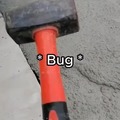 Bug/comment