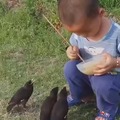 niño dando de comer a unos pajarillos
