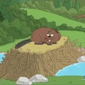 How beaver became synonymous with cunt