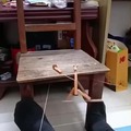 commented item thumbnail
