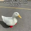 Just shut the duck up and go