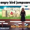 Angry Bird susto