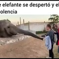 Elefante hablando con humanos a madrazos