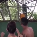 commented item thumbnail