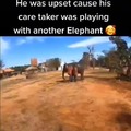 Well, now you know what a jealous elephant sounds like