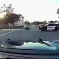 Florida cops watched the batman movies
