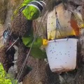 commented item thumbnail