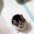 commented item thumbnail