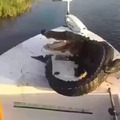 Get off my boat